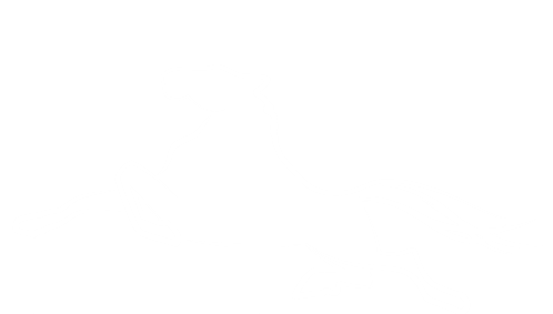 Bodhi 360 Interior logo